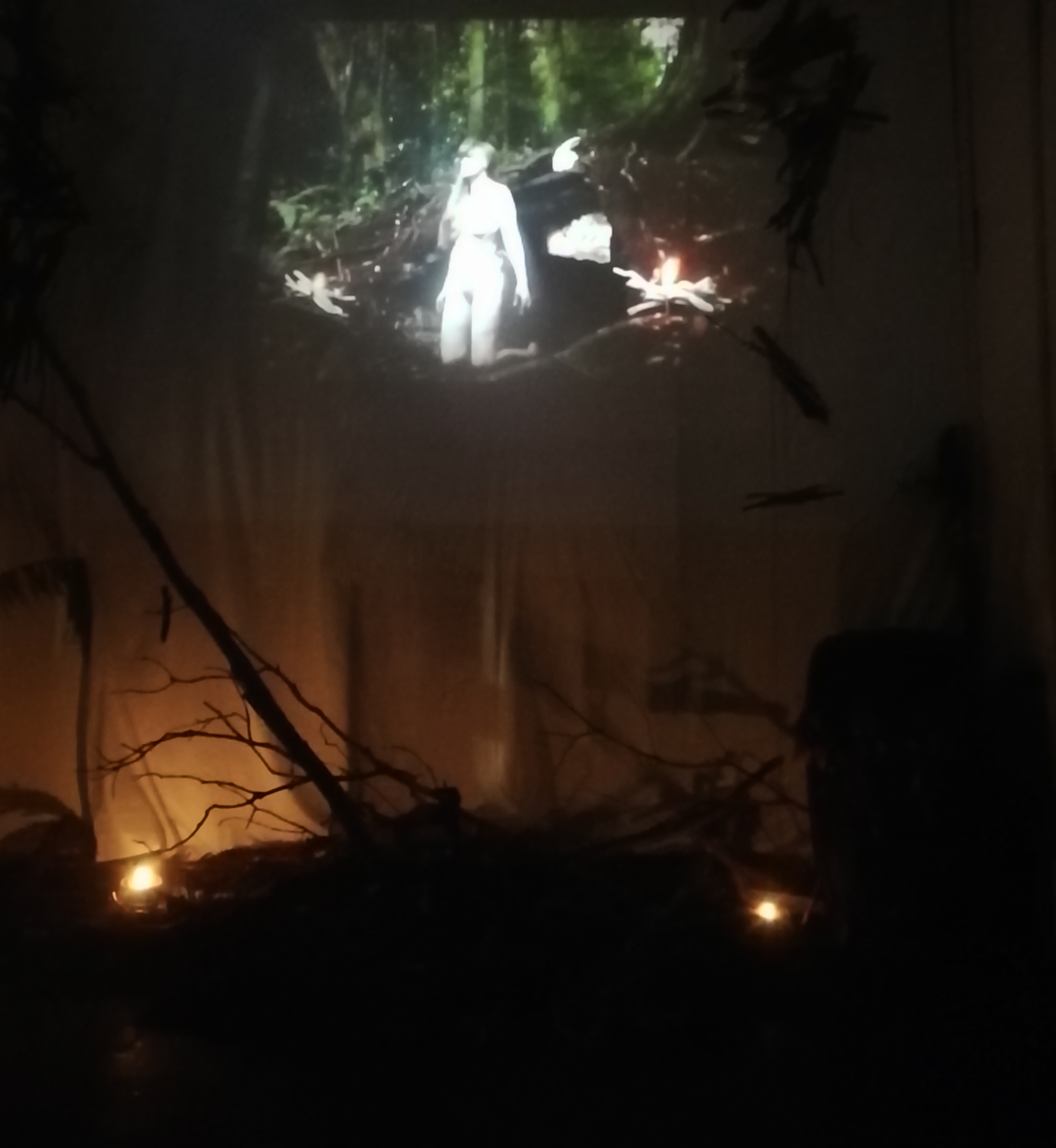 In a small room, the walls are draped with cascading sheets. There are candles, and the space feels small and encompassing. There is a pile of naked twigs and branches. Projected on the fabric is a naked person kneeling in a pungent fecund forest. 