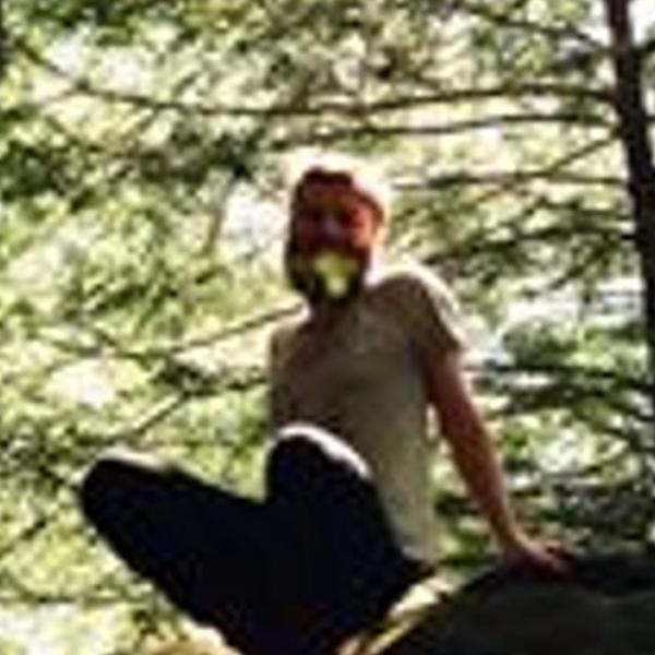 a pixelated photo of a person sitting on a forest floor