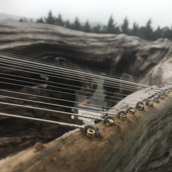 Guitar strings are anchored to an old gnarled log