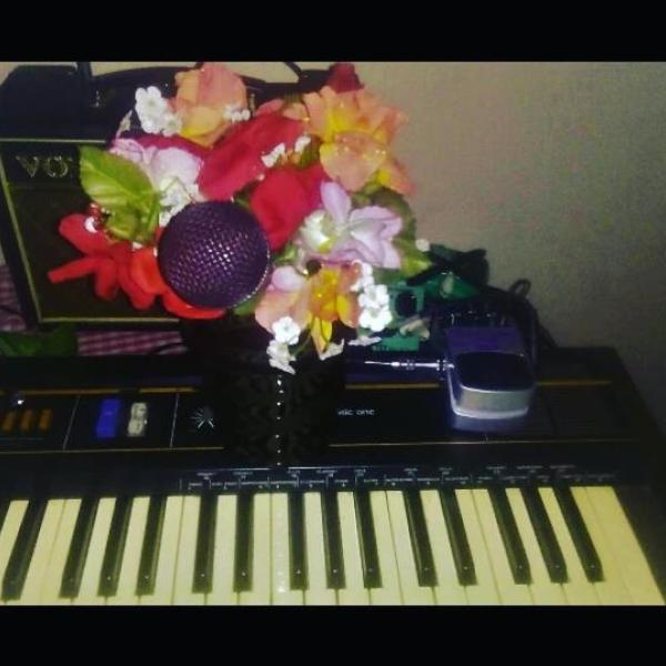 A vintage 4-octave electronic keyboard sits on a small table with a checkered tablecloth. Also on the table sits a portable VOX amp. Sitting on the keyboard, in the centre of the image is a pot of red, pink, orange and white flowers, with a purple vocal microphone poking through the flowers, pointed at the keyboardist's position. Also on the keyboard is an effects pedal. 