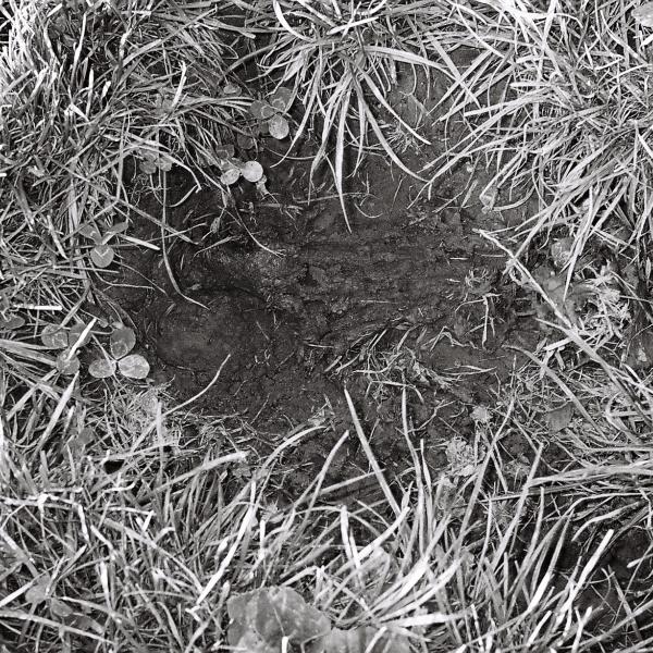 A black and white photo of a hole in the ground