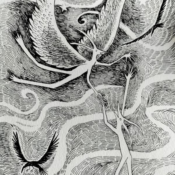 Two characters cascade in swirling space. there are two black birds swooping around them. One character has angel wings and is holding the hand of a wingless one who is falling. They have long faces and gentle horns. Their bodies are lithe and lean. This is a pen and ink drawing.