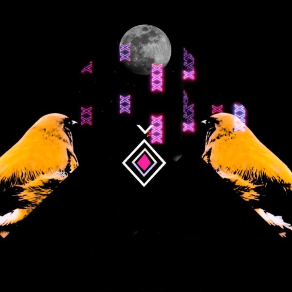 a still image from one of Jamie's works. A bird is mirror imaged and looking in to the middle of the image. There is a moon, and neon tukutuku patterns.