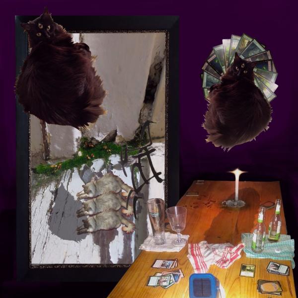 A collage of photos. A black cat and its reflection. It is very fluffy and has a third eye in its forehead. There is table with empty beer bottles, a candle, and scattered card from 'Magic: A Gathering'. A wall with peeling paint and bursting with a creeping plant in perfume with flower.
