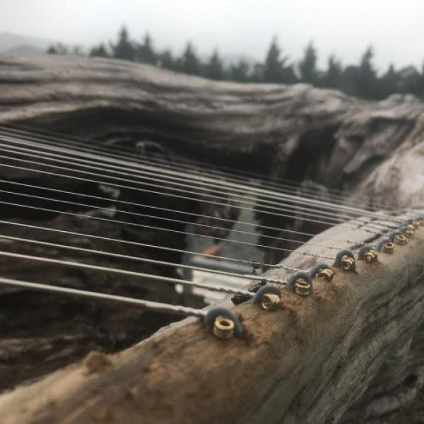guitar strings attached to a large majestic driftwood tree