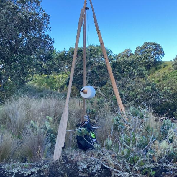 a photo of the aeolian harp located on Rangitoto Island. It is made from tripod of old boat oars. The strings hang down from the apex and go over a bridge on a taut skin drum. The sky is very blue, and the ground is a very dark black volanic rock.