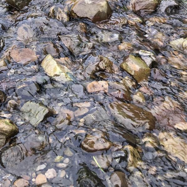 Glistening water on river stones