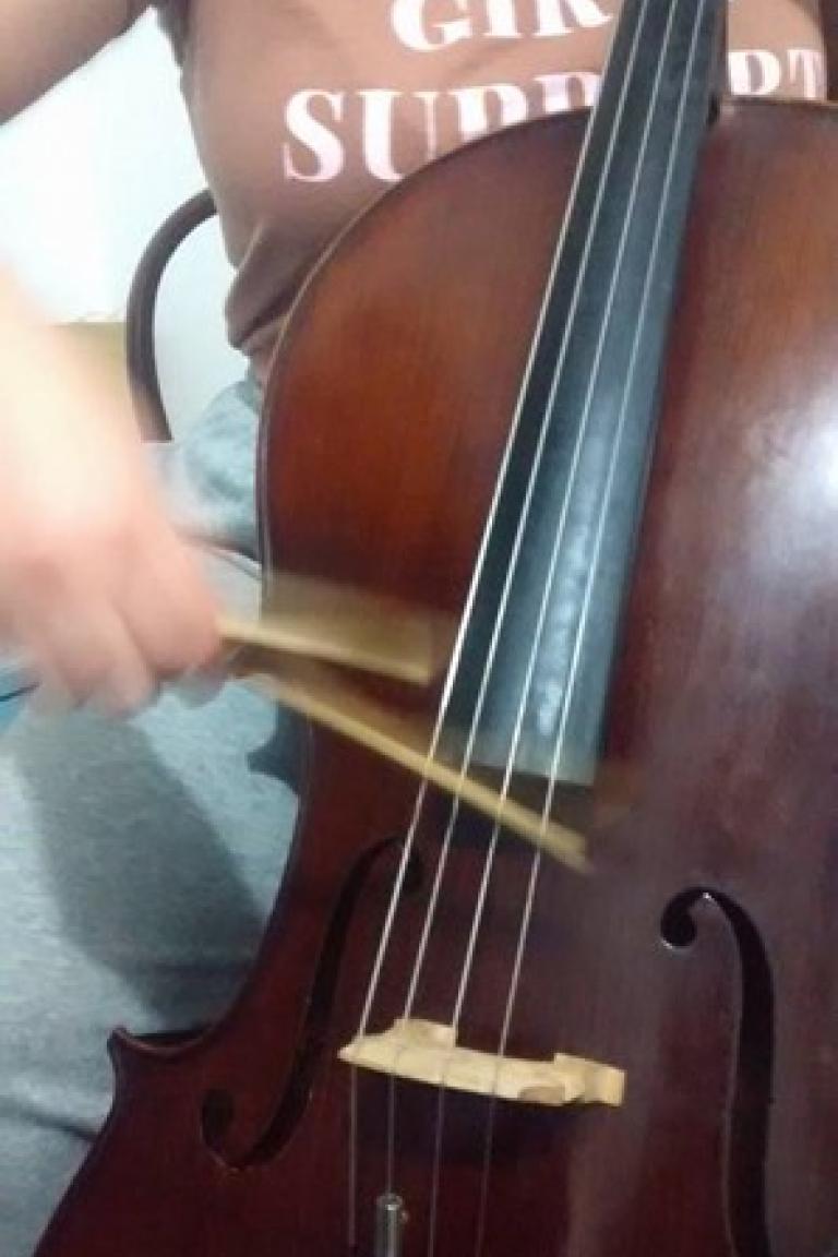 a blurred action shot of someone fratically playing cello. The text would suggest it is with a bamboo totth brush, but the picture gives no clarity