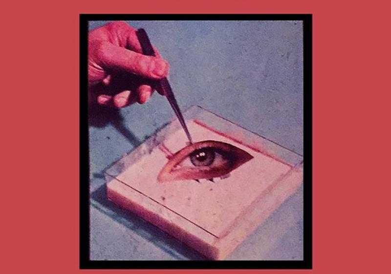 A hand with tweezers plucking an eye in a petri dish