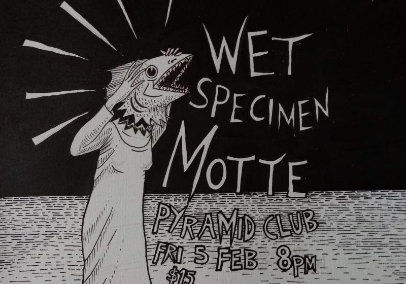 a drwaing of s fish headed person