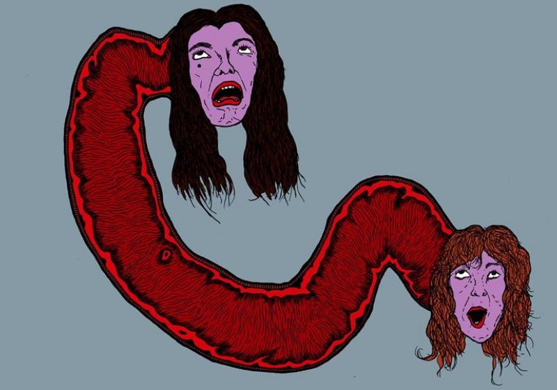 a cartoon intestine with two heads