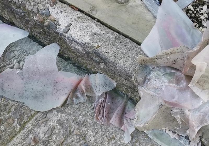 Still shot from Biobitumen, a greywacke love poem for the Circuit Aura Festival, 2019. Photograph by Rachel O'Neill