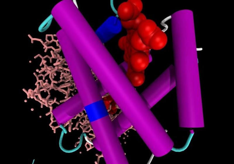 abstract digital art