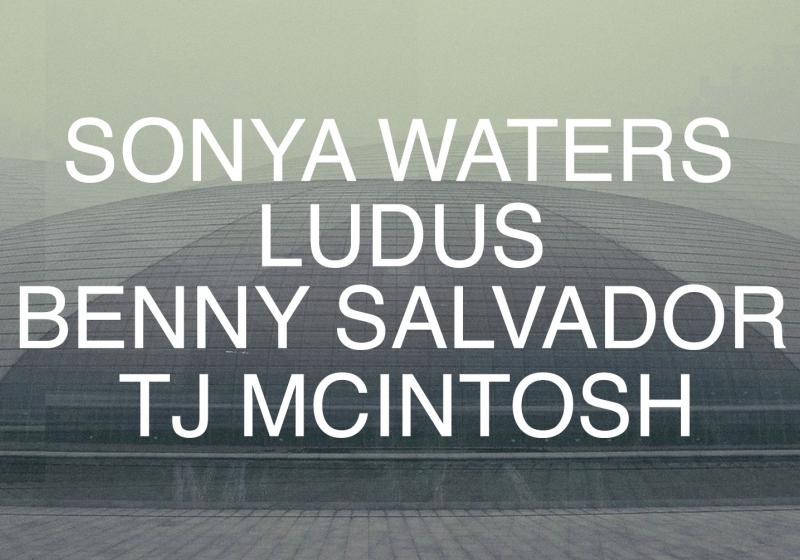 a black and white image of superimposed domes, the artists names are in text