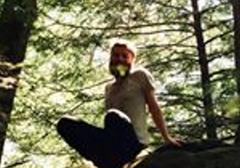 a pixelated photo of a person sitting on a forest floor