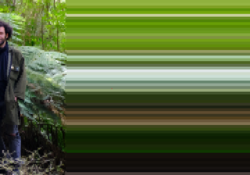 a pixelated photo of Kerian in a bush setting. The green on the trees is digitally smeared into bold coloured lines of colour.