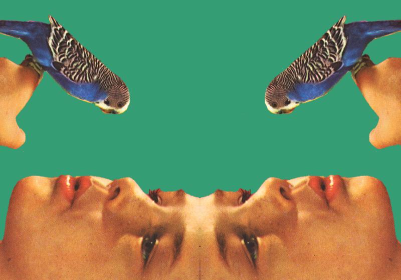 A vintage image of a woman holding and whistling to a bird appears is mirrored in a symmetrical design