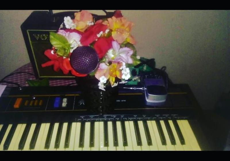 A vintage 4-octave electronic keyboard sits on a small table with a checkered tablecloth. Also on the table sits a portable VOX amp. Sitting on the keyboard, in the centre of the image is a pot of red, pink, orange and white flowers, with a purple vocal microphone poking through the flowers, pointed at the keyboardist's position. Also on the keyboard is an effects pedal. 