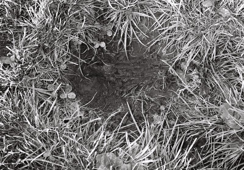A black and white photo of a hole in the ground