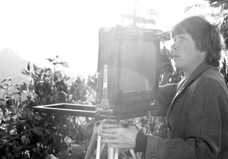 Andrew Ross stands next to a fold-out accordion-style camera, taking a long exposure photograph in the sun.