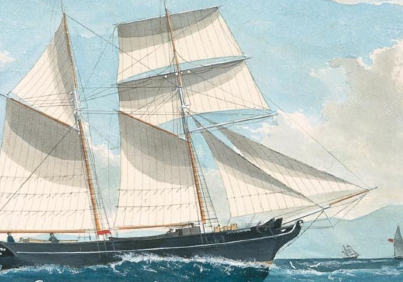 A victorian illustration of a ship sailing the seas with other ships in the distance. 