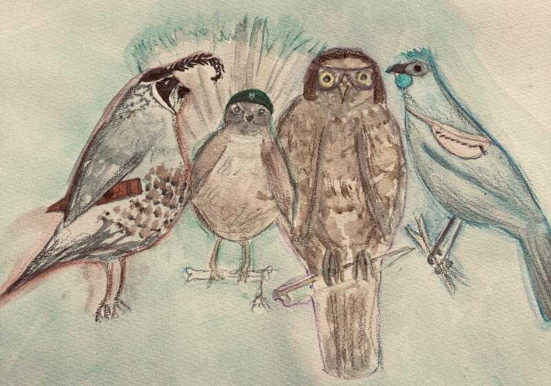 A watercolour illustration of four birds native to Aotearoa, some wearing hats, bags and sunglasses