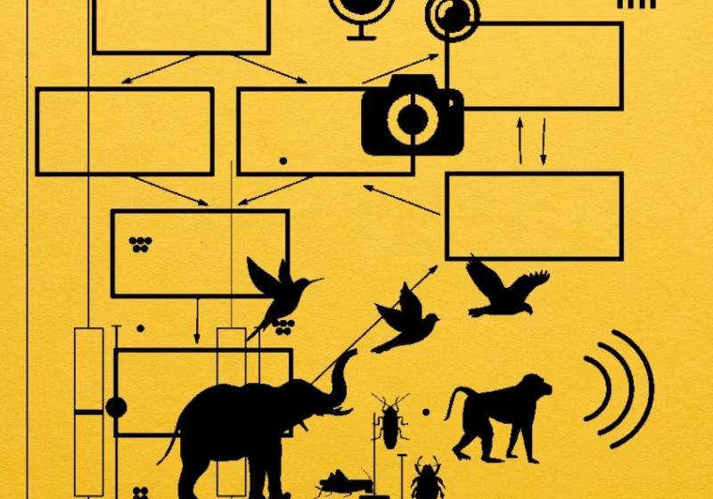 Image for Machine Listening