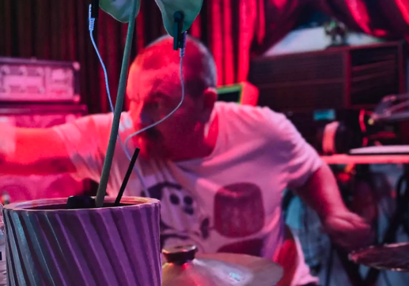 A photo of Vegetable Machine Animal playing with his instruments in a pink light