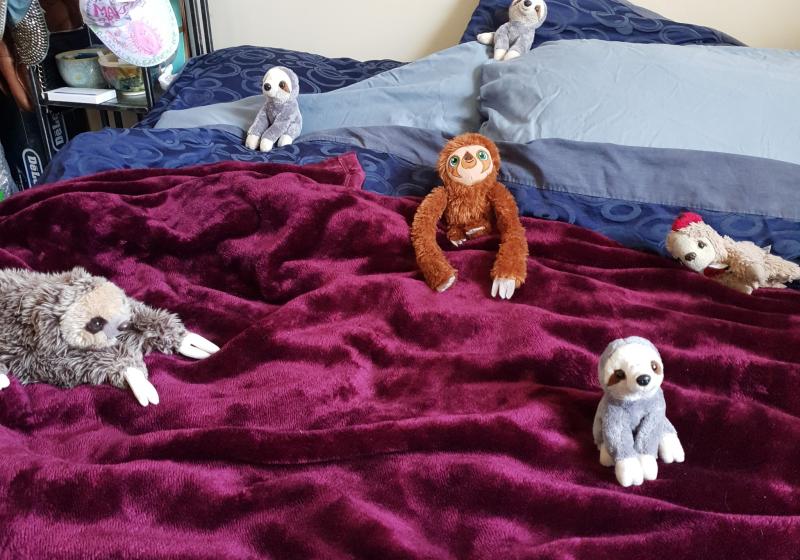 a set of soft toy sloths soclial distancing on a double bed