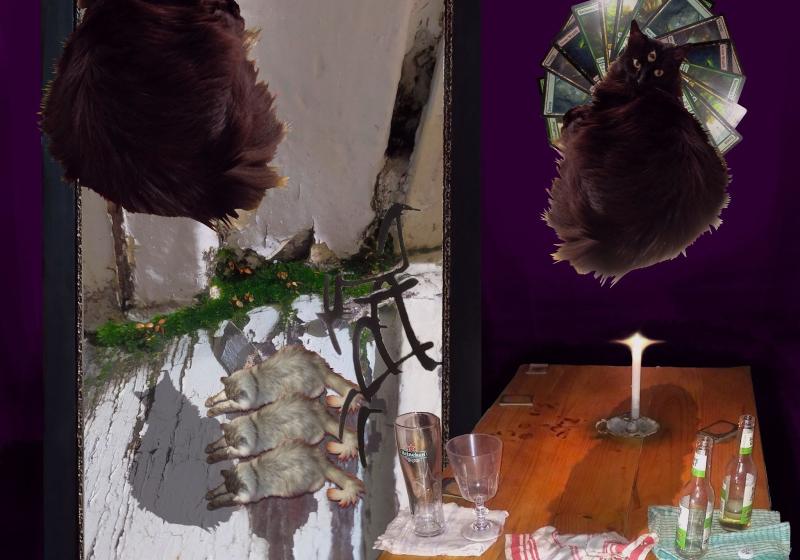 A collage of photos. A black cat and its reflection. It is very fluffy and has a third eye in its forehead. There is table with empty beer bottles, a candle, and scattered card from 'Magic: A Gathering'. A wall with peeling paint and bursting with a creeping plant in perfume with flower.