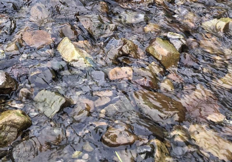 Glistening water on river stones