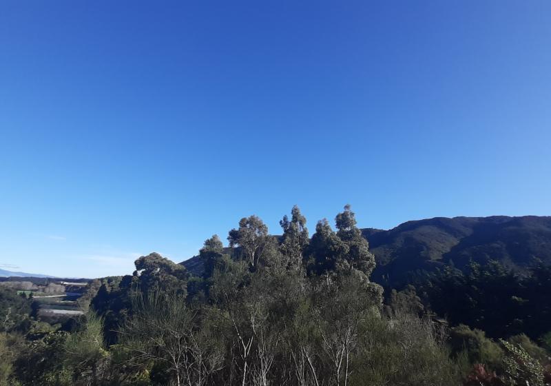 blues sky and hills