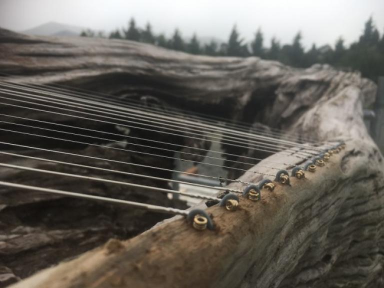 Guitar strings are anchored to an old gnarled log