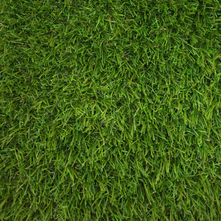 A photo of grass