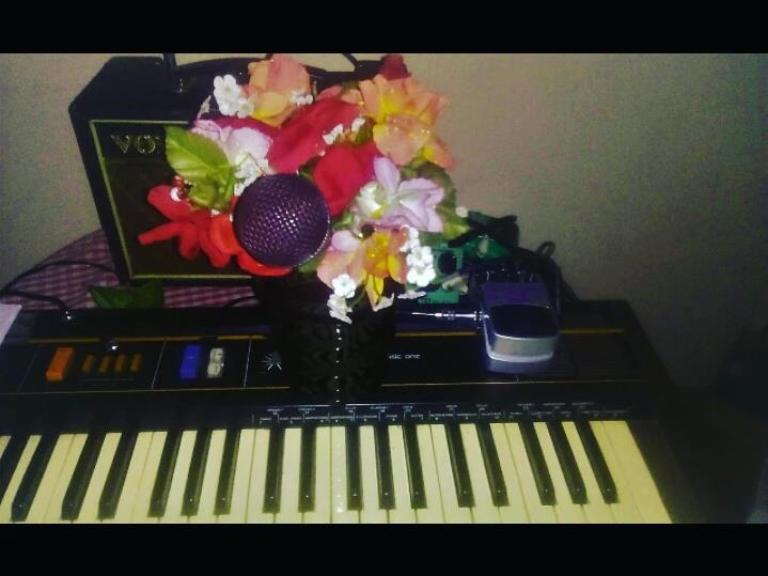 A vintage 4-octave electronic keyboard sits on a small table with a checkered tablecloth. Also on the table sits a portable VOX amp. Sitting on the keyboard, in the centre of the image is a pot of red, pink, orange and white flowers, with a purple vocal microphone poking through the flowers, pointed at the keyboardist's position. Also on the keyboard is an effects pedal. 