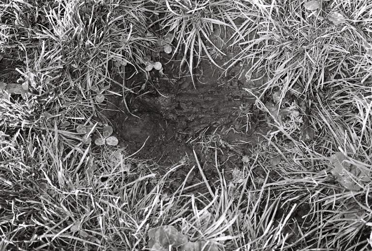 A black and white photo of a hole in the ground