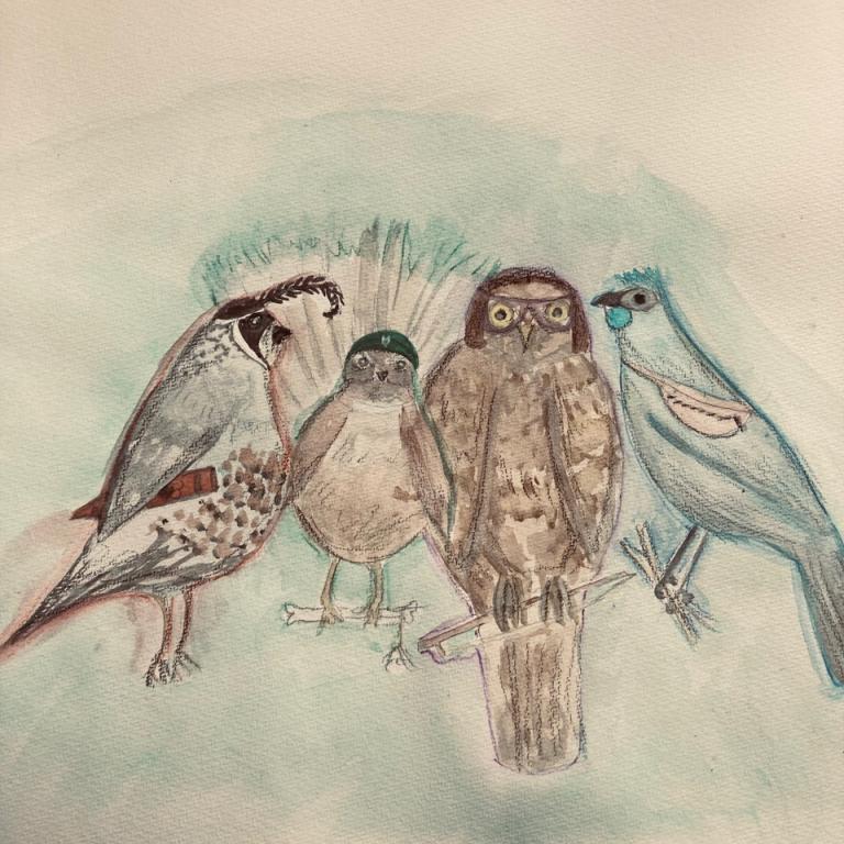 A watercolour illustration of four birds native to Aotearoa, some wearing hats, bags and sunglasses
