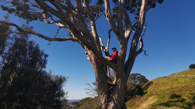 Geoff Gilson sits comfortably in the crook of a branch. He leans agaimnst the trunk of the tree and looks out and far. The tree is in a rural setting, with a ridgeline of dry yellow grass and tussock.