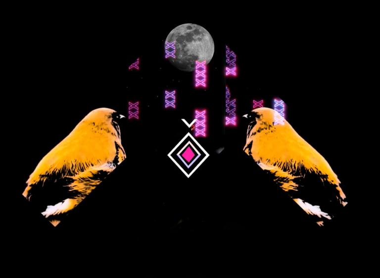 a still image from one of Jamie's works. A bird is mirror imaged and looking in to the middle of the image. There is a moon, and neon tukutuku patterns.