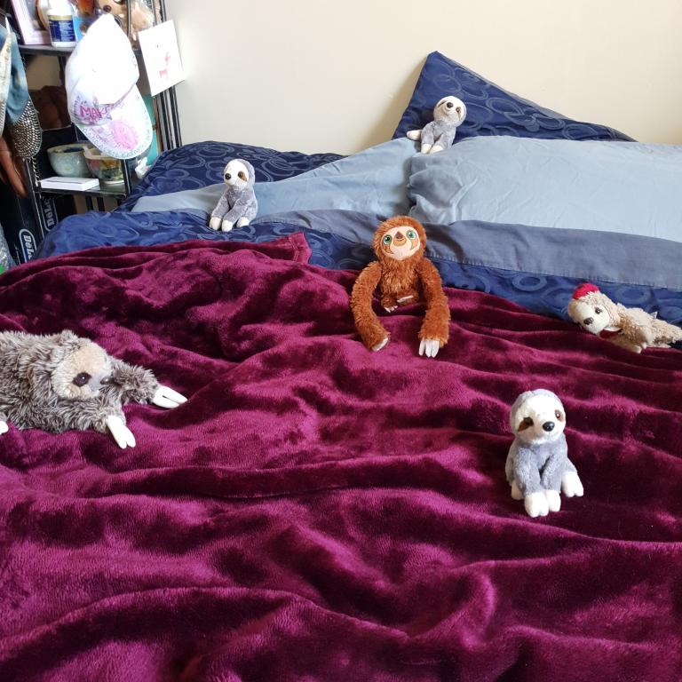 a set of soft toy sloths soclial distancing on a double bed