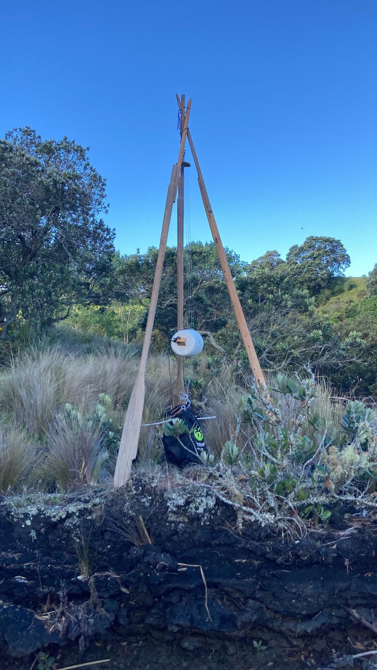 a photo of the aeolian harp located on Rangitoto Island. It is made from tripod of old boat oars. The strings hang down from the apex and go over a bridge on a taut skin drum. The sky is very blue, and the ground is a very dark black volanic rock.