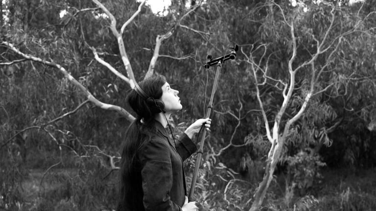 Sally in the bush. She is wearing headphones and has field recording mics on the end of a large boom