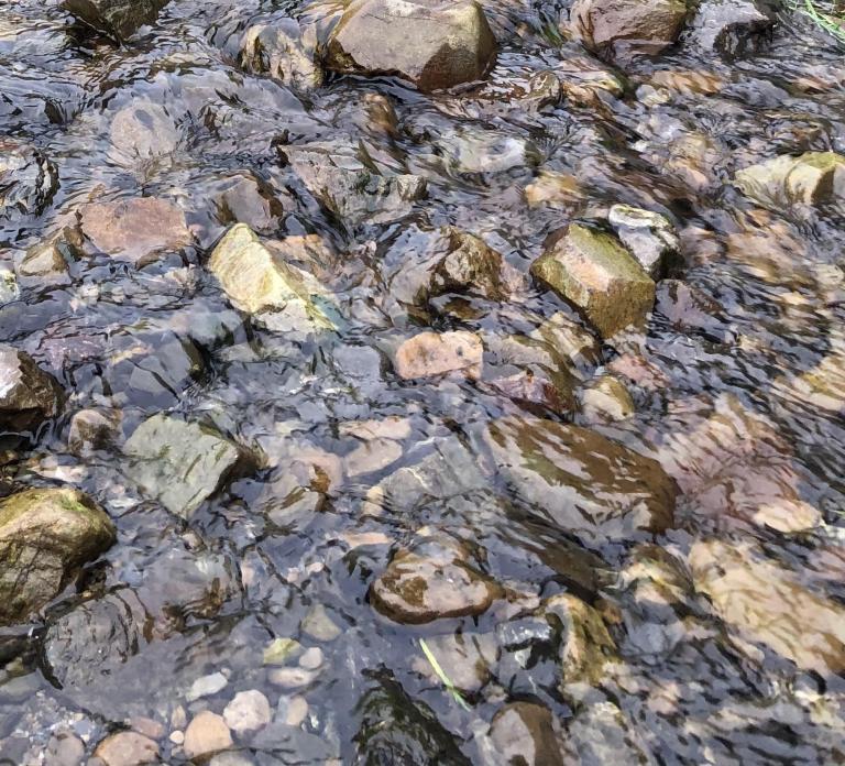 Glistening water on river stones