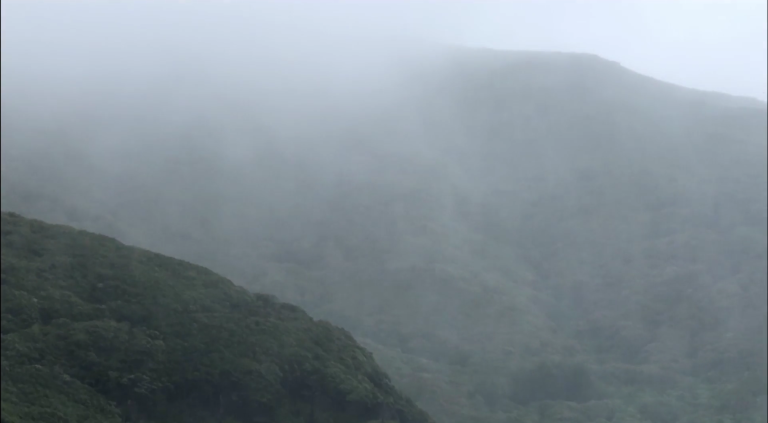 A cold and heavy mist falls down a bush clad range of hills. There is a pungent roundness that seeps through.