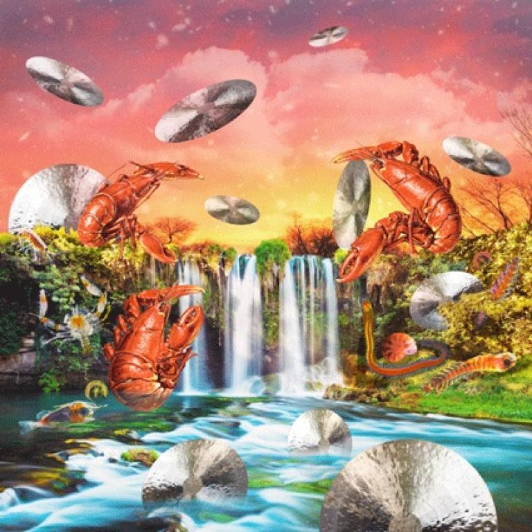 The same pools of the front cover, but instead of night it is a balmy warm evening. Cymbals are flying like ufo's and there are giant crayfish scattered through the land.